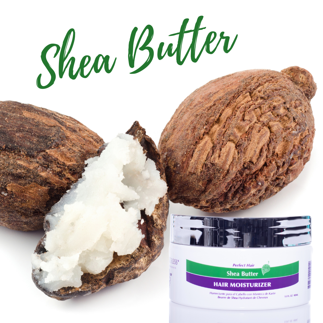 Shea Butter Hair Moisturizer - 5.5oz.